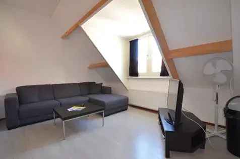 1 Kamer Appartement 53m² Delft - Instapklaar