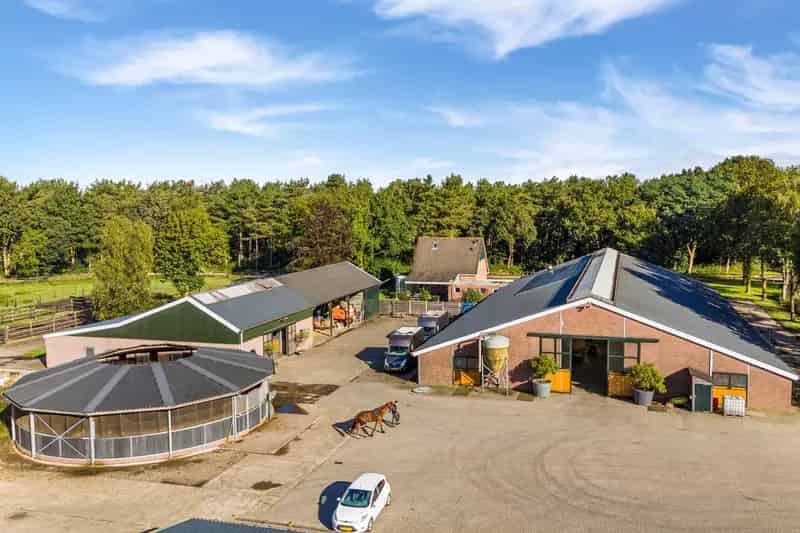 Paardenhouderij met 52 Boxen en Opfokmogelijkheden