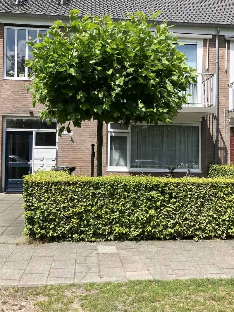 Appartement begane grond 1 slaapkamer tuin