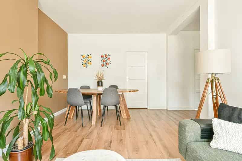 Appartement te koop: Senefelderstraat 9-1 1097 CV Amsterdam 