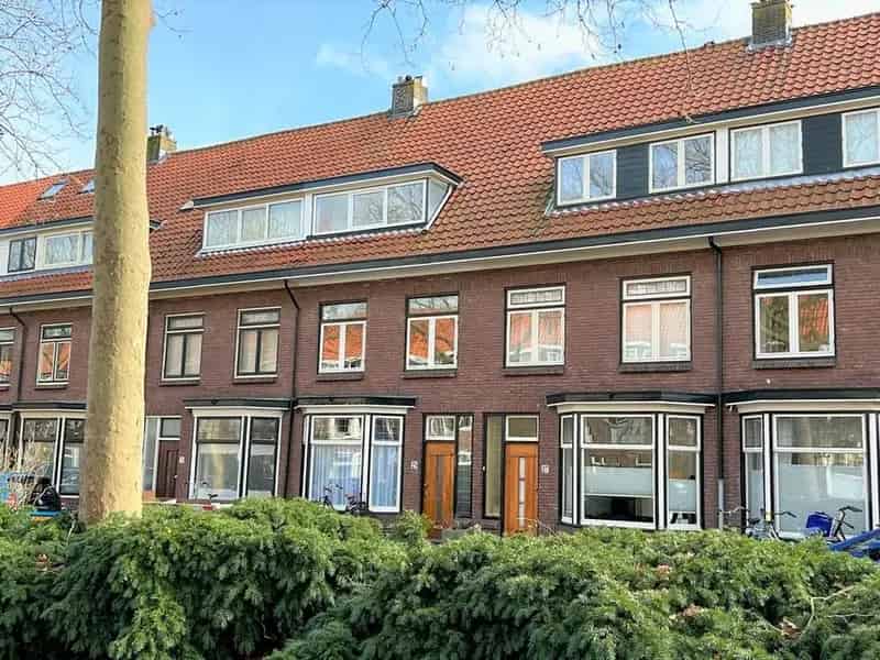 5 Slaapkamers 2 Badkamers Professorenwijk Zonnige Tuin