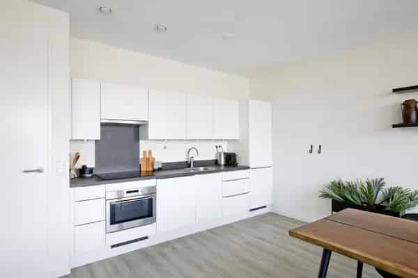 Luxe 2 Slaapkamers Appartement Amsterdam Oost Studenten