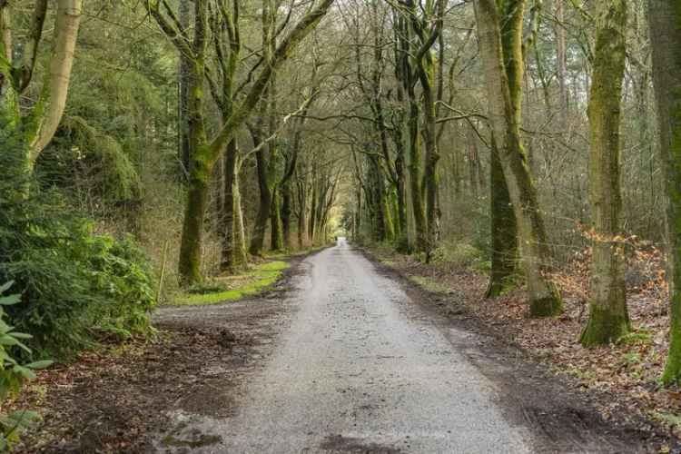 Rijksmonument Maarn - Wonen en Werken in de Natuur