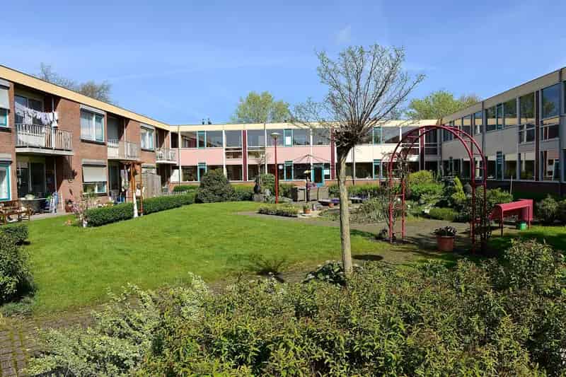 Kornalijn 56