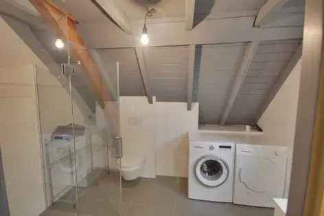 Luxe Loft Studio Arnhem 50m2 Gemeubileerd Short Long Stay