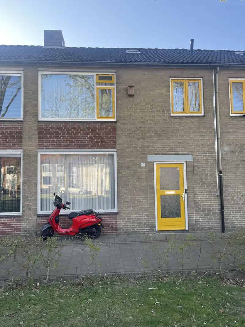 Tuinhuis Schuur Zolder Kelderkast