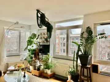 Appartement Jordaan Amsterdam Balkon Dakterras