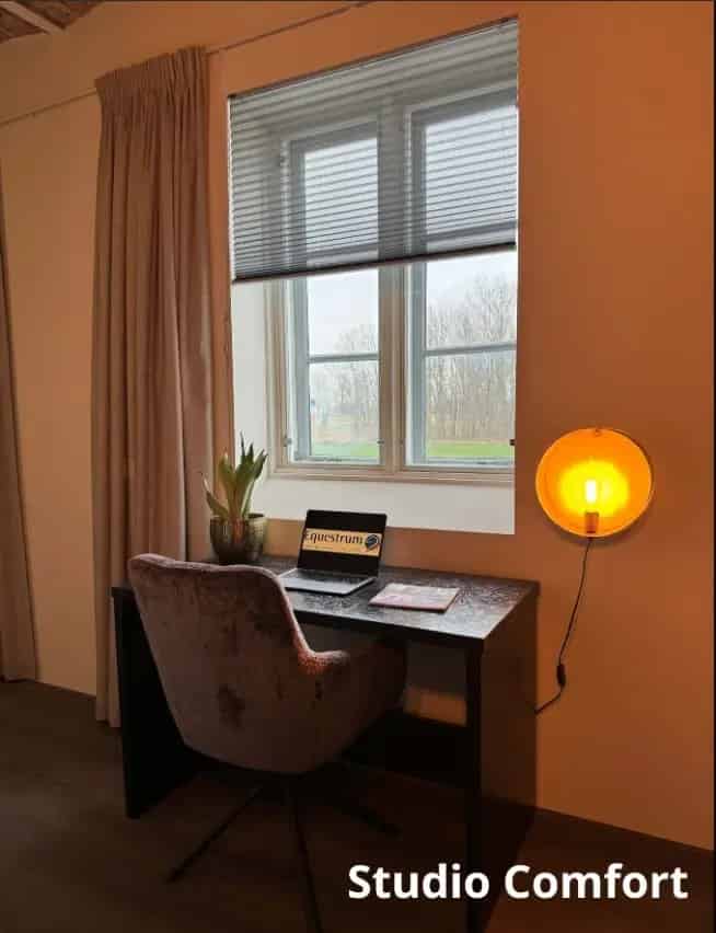 Studenten Studio Schipluiden Comfort Equestrum