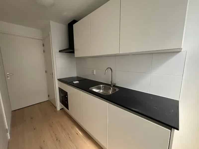 Gerenoveerde Studio Groningen Noorderplantsoenbuurt 27m2