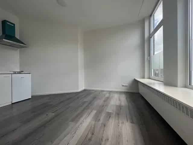 Studio Den Haag Bezuidenhout Johannes Camphuijsstraat