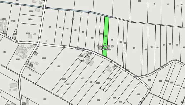 Agrarische grond Velddriel | Zoek agrarische grond te koop: Vliertseweg 5334 Velddriel [funda in business]