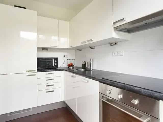 Luxe 3-kamer Penthouse Haarlem  Uitzicht De Hout