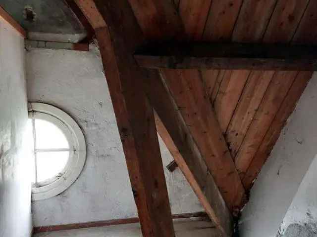 2 Kamer Bovenwoning Spaarndammerbuurt