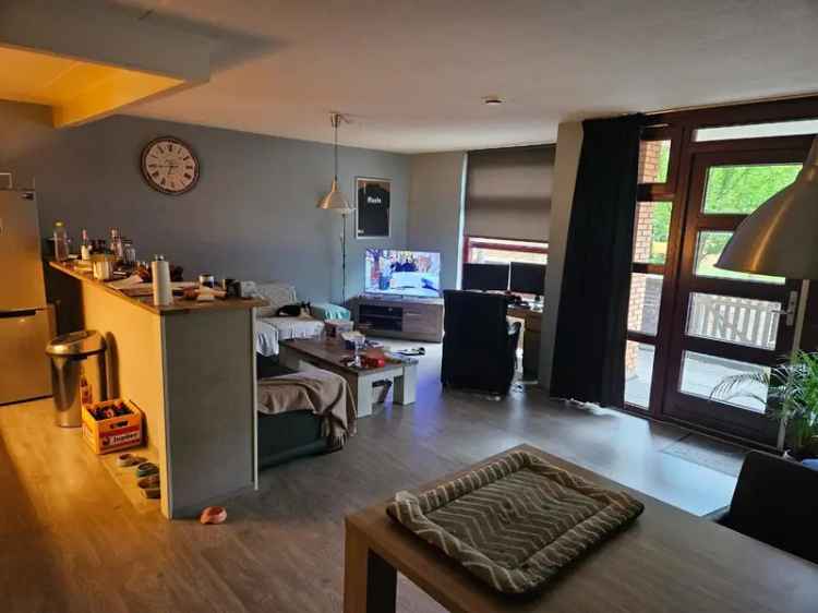 Groot appartement zoekt huisgenoot