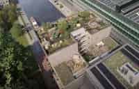 Luxe 3 Kamer Appartement Amsterdam Centrum Zuidwest Terras