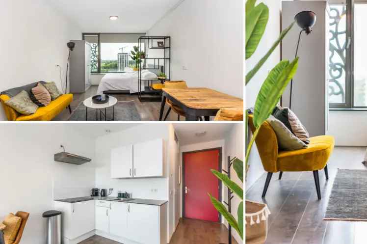 Studio Amsterdam Nieuw West  Jongeren  Gemeenschap