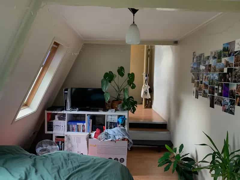 Kamer te Huur in Internationaal Huis - 6 Maanden