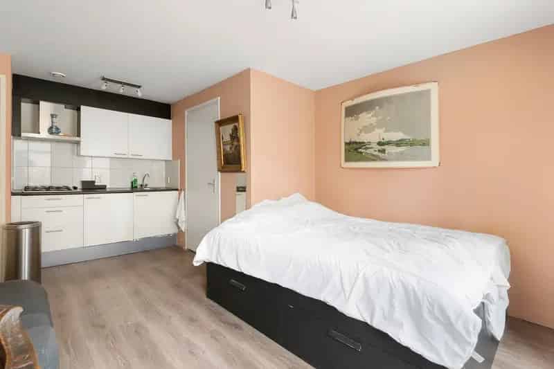 Studio Jordaan Amsterdam Eigen Grond Nieuwe Kozijnen