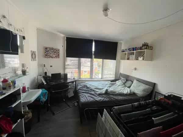 Groephuis Tuinbouwstraat Groningen - Direct te huur