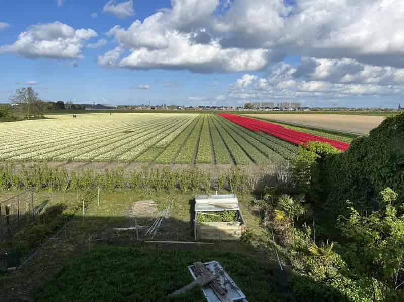 Huis Te Koop , 59, Middenweg, Breezand, Noord-Holland