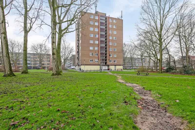 Appartement te koop Zaandam Zuid: 3-kamer appartement 62m²