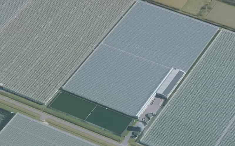 Glastuinbouwbedrijf te koop Westdorpe 80940m2