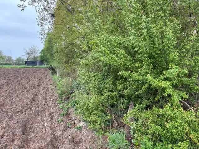 Agrarische grond Bunde te koop: Bosperceel 0 43 ha