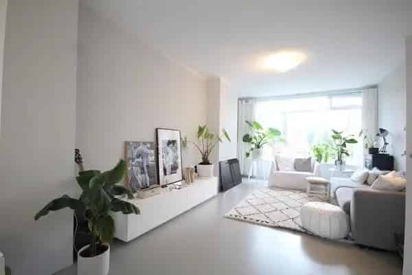 Charmant Appartement Leiden: Rust en Stadsleven