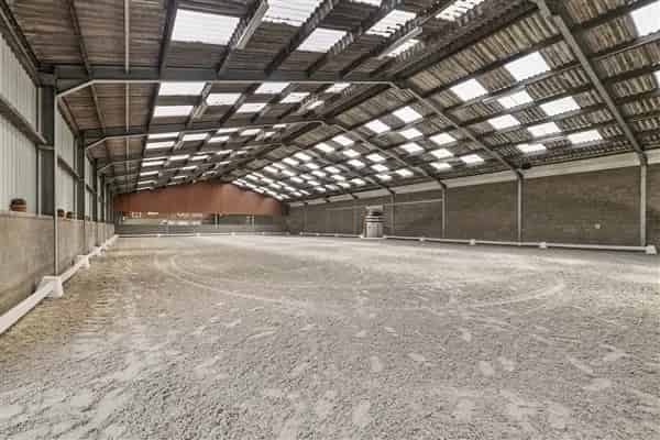 Hippische Accommodatie te Koop Posterholt