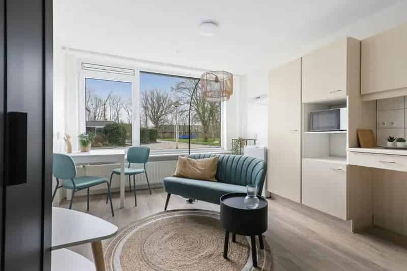 Studio Ternaard - Gerenoveerd en betaalbaar