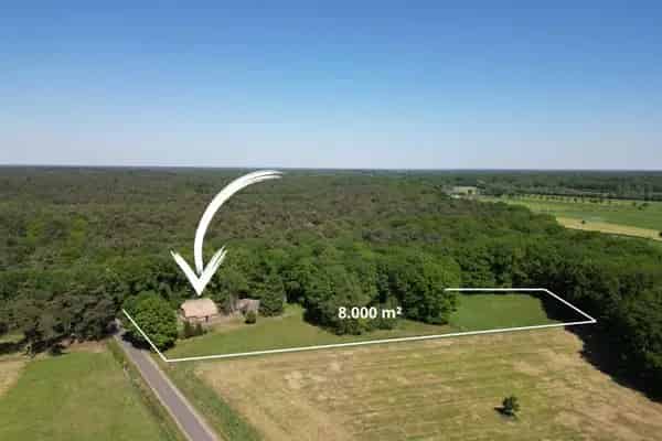 Renovatieobject Giethmen of Bouwmogelijkheid 8000m² Bos Weides