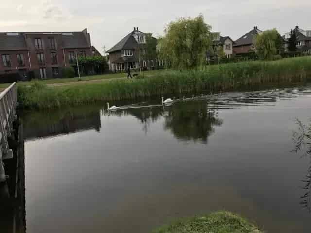 Te Huur Villa Hoofddorp 6 Slaapkamers Ruime Tuin Aan Het Water
