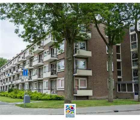 Dreischorstraat 10B