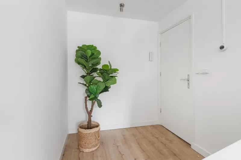 Appartement Te Koop , 67A, Gedempte Nieuwesloot, Alkmaar, Noord-Holland