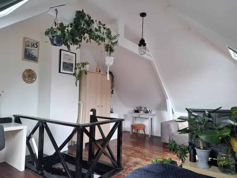Studentenkamer Huize AAA3 - Gezellig studentenhuis zoekt huisgenoot