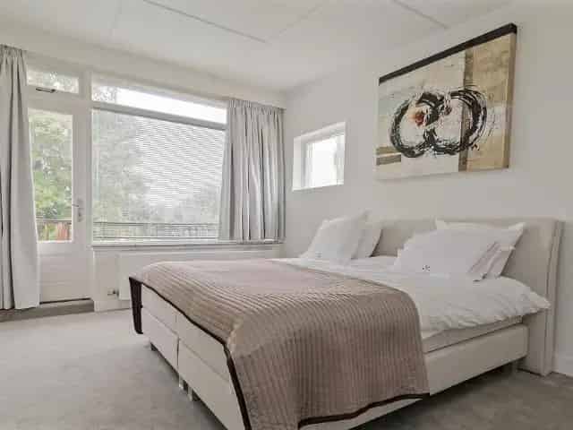 Grote karakteristieke villa Bleiswijk  - Ruimte en Luxe