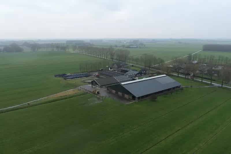 Moderne Melkveehouderij te Koop Buurmalsen