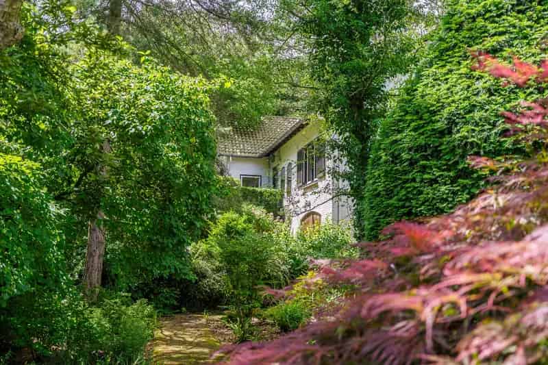 Vrijstaande villa 263m²  IJmuiden  Ruim perceel 1270m² Garage Tuinhuizen