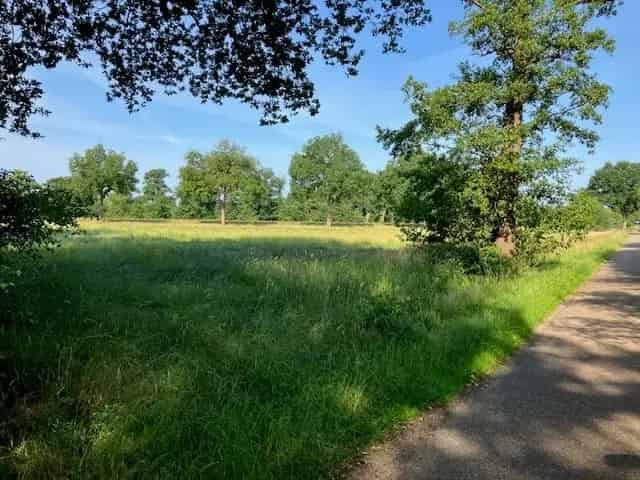 Agrarische Grond te Koop Zuna 34 hectare