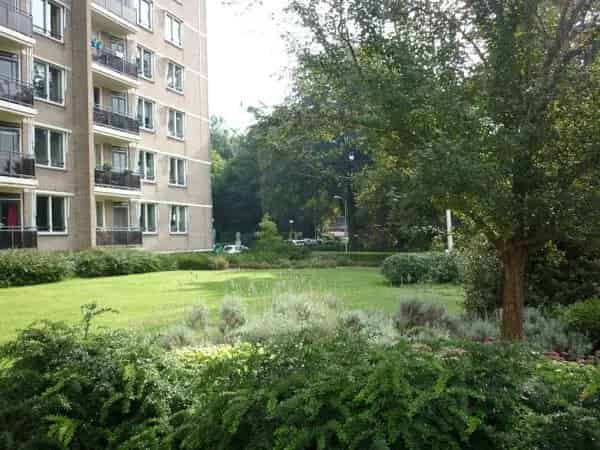 2-Kamer Appartement Enschede Direct Beschikbaar