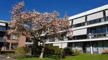 Huurwoning Irenelaan - Direct van Eigenaar