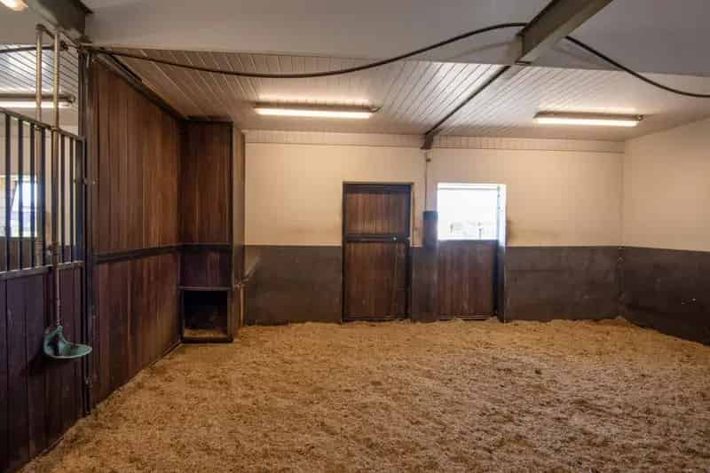 Woonboerderij met Paardenfaciliteiten Barneveld