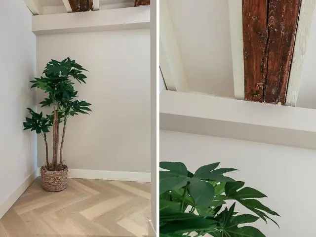 Ruim Gemeubileerd Appartement Amsterdam Centrum 100m2