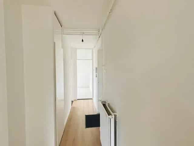 4 Kamer Appartement Den Haag Jacob Catsstraat