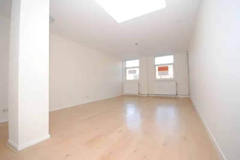 2 Kamer Appartement 95m2 Den Haag Gerenoveerd Balkon