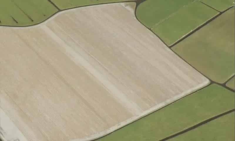 Tuinland te Koop Rijnsburg Bollenteelt 29625ha