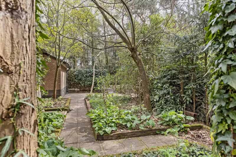 Recreatiewoning Zelhem 6 personen Grote tuin Vijver