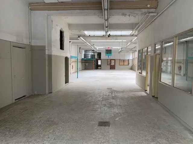 Bedrijfshal te Huur Den Haag Bezuidenhout 461m2
