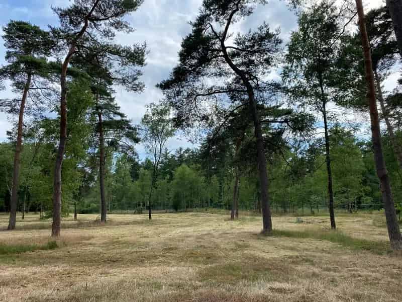 Huis: Zeisterweg 3931 MK Woudenberg | Funda
