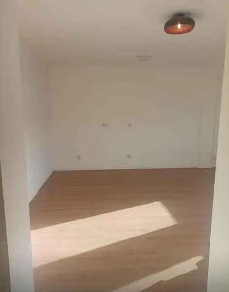 2-kamer appartement Nieuwegein - Studenten - Recente Renovatie